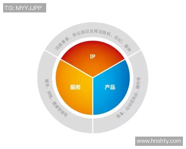 杭州排球队团队协作新模式探讨与热议推动排球运动发展